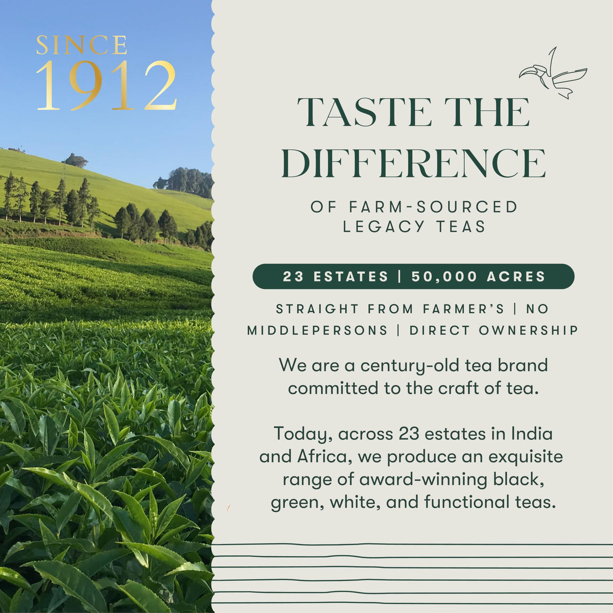 15 Tea Sampler Pack, 15 Flavors, 15 Cups (30g/1.05oz) - Luxmi Estates USA