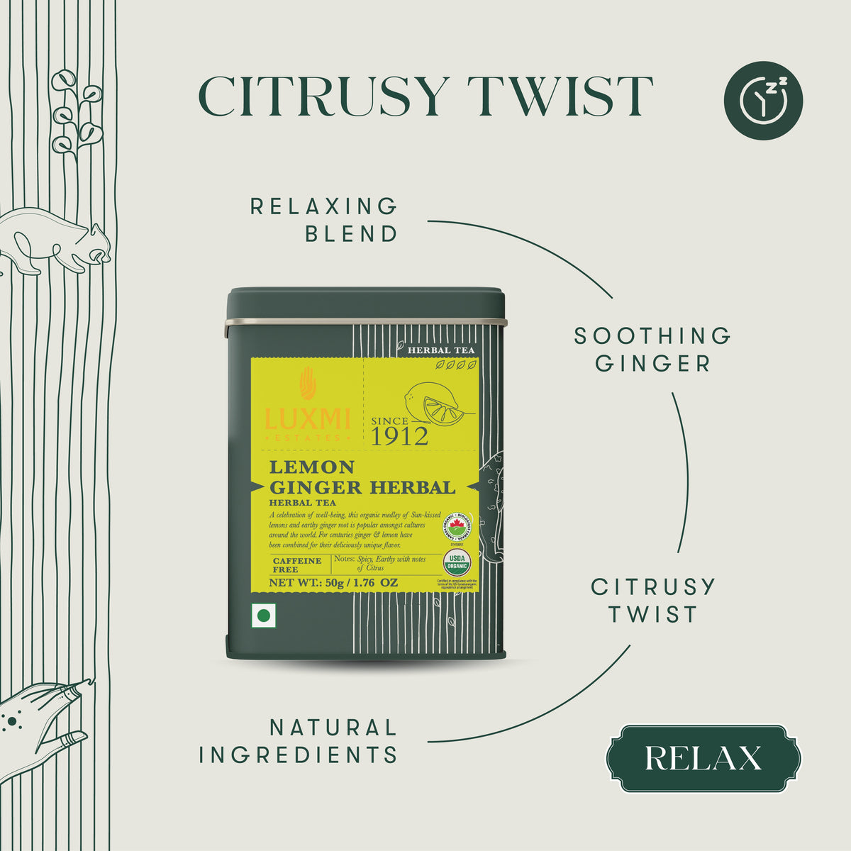 Lemon Ginger Root | 50gm | Organic Herbal Tea - Luxmi Estates USA