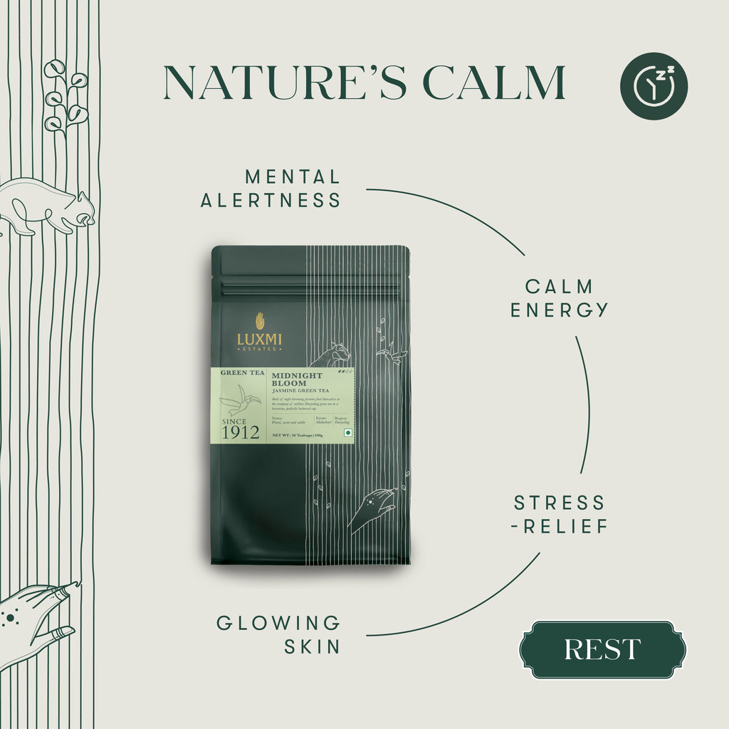 Midnight Bloom | 50 Tea Bags | Organic Green Tea - Luxmi Estates USA