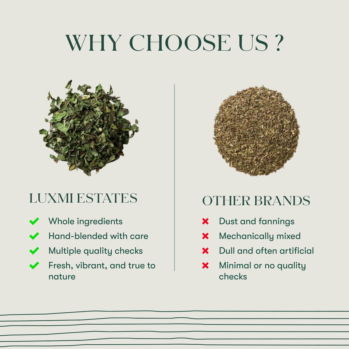 Pure Peppermint | 25gm | Organic Herbal Tea - Luxmi Estates USA
