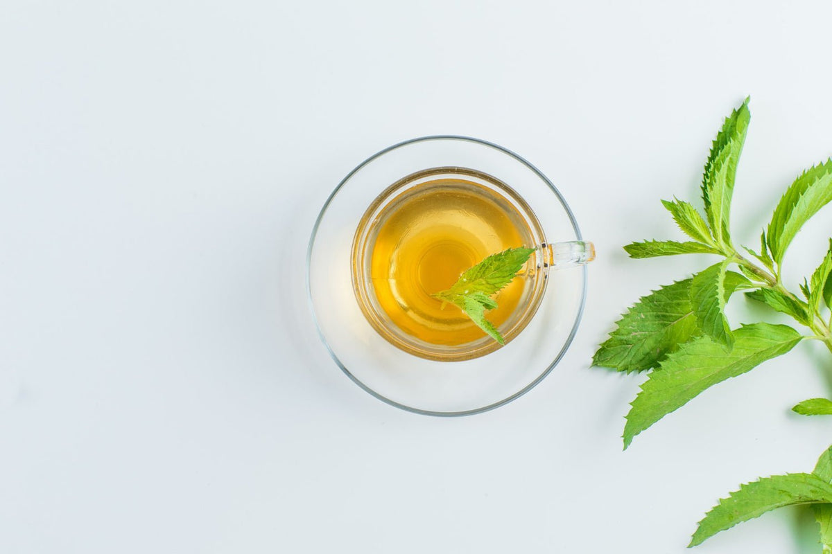 Holy Basil & Valerian Tea Benefits for Immunity