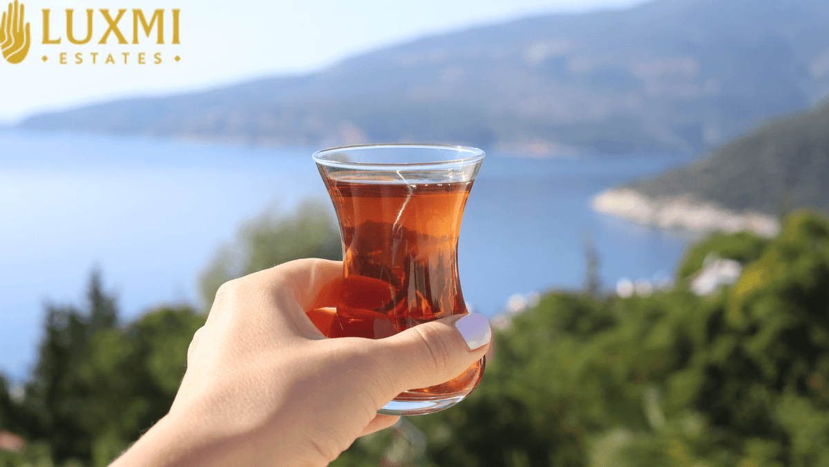 Unveiling the Ethereal Beauty of Himalayan Tea Estates