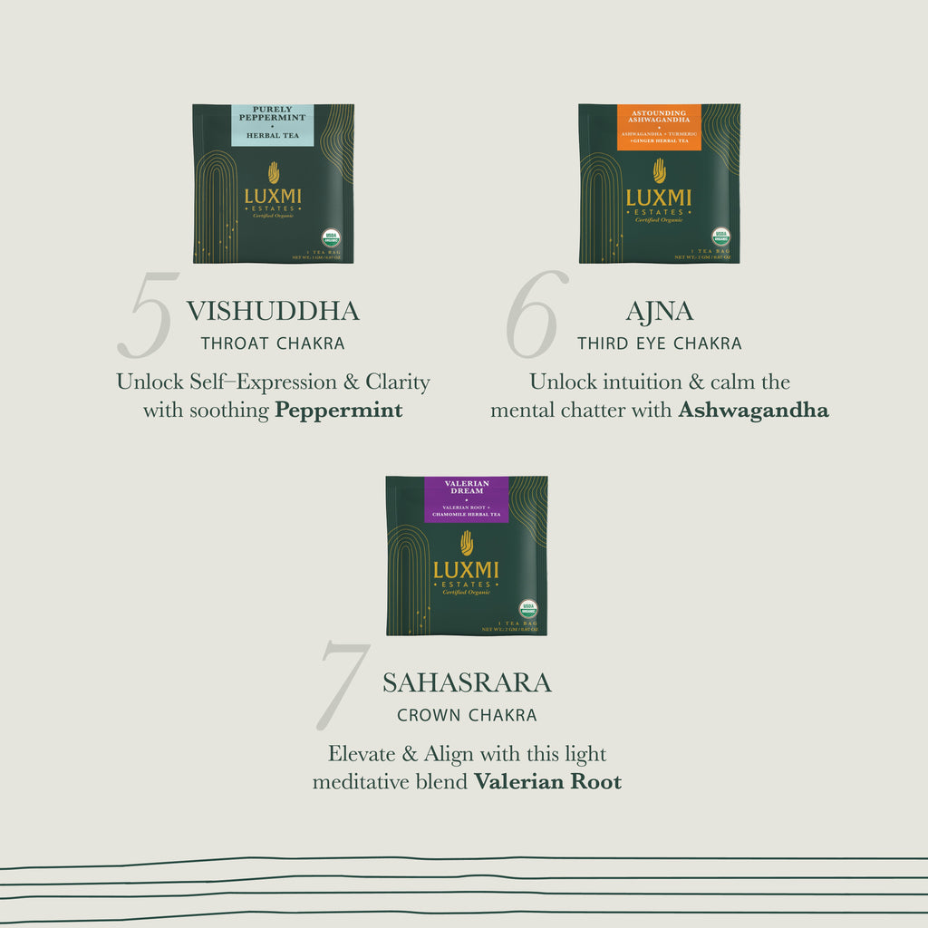 7 Chakras | Giftpack Assortment | 21 Tea Bags - Luxmi Estates USA