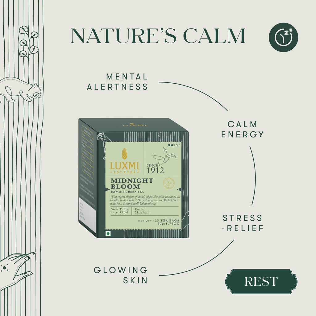 Midnight Bloom  Green Tea Bags - Calm Energy