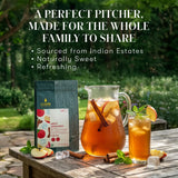 Apple Cinnamon Iced Tea | 18 Pitcher bags - Luxmi Estates USA
