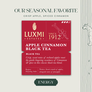 Apple Cinnoman Black Tea | 50 Tea Bags | Organic Black Tea | Special Fall Tea | Limited Autumn Edition Tea - Luxmi Estates