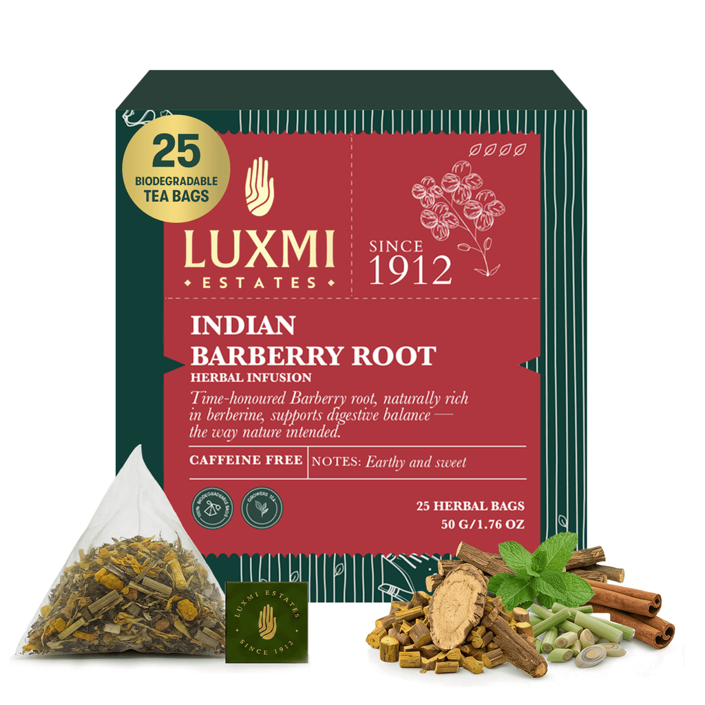 Barberry Root Tea | 25 tea bags | Herbal Tea - Luxmi Estates USA