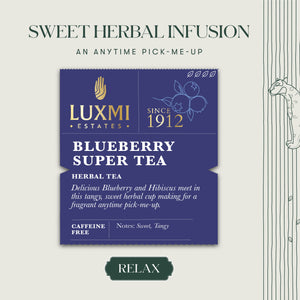 Blueberry Super Tea | 100 gm | Herbal tea - Luxmi Estates