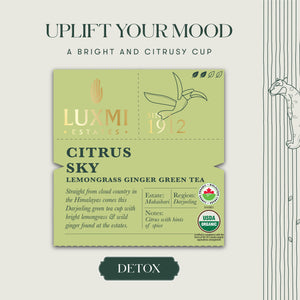 Citrus Sky | 100gm | Organic Green Tea - Luxmi Estates