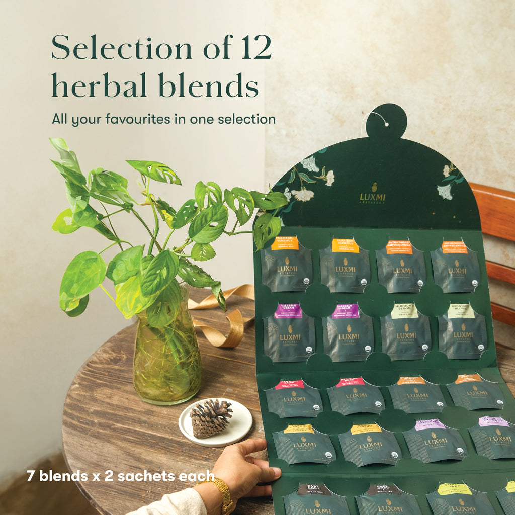 Daily Ritual Calendar | Gift Pack Assortment | 24 Tea Bags | Advent Calendar - Luxmi Estates USA