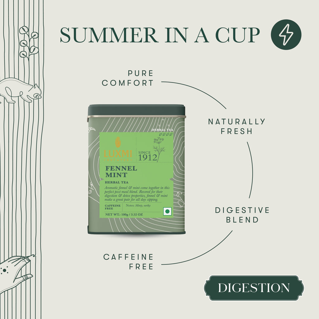 Fennel Mint Herbal Tea | 100 gm | Herbal Tea - Luxmi Estates USA