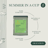 Fennel Mint Herbal Tea | 100 gm | Herbal Tea - Luxmi Estates USA