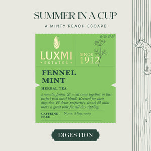 Fennel Mint Herbal Tea | 100 gm | Herbal Tea - Luxmi Estates