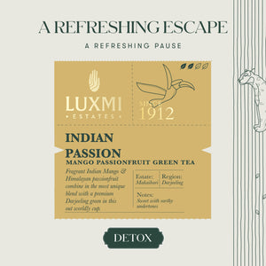 Indian Passion | 25 Tea Bags | Organic Green Tea - Luxmi Estates