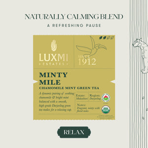 Minty Mile | 25 Tea Bags | Organic Green Tea - Luxmi Estates