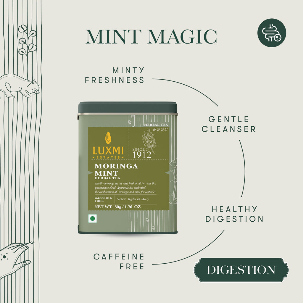 Moringa Mint | 50 gm | Organic Herbal Tea - Luxmi Estates USA