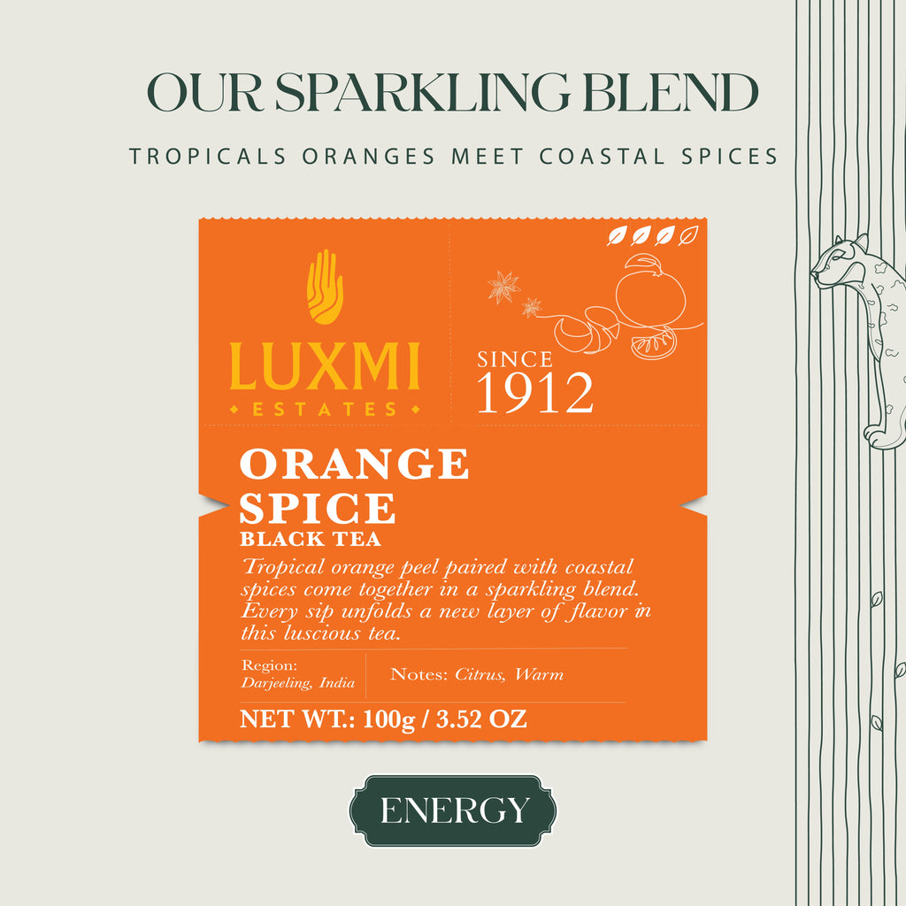 Orange Spice | 100 gm | Black Tea - Luxmi Estates USA