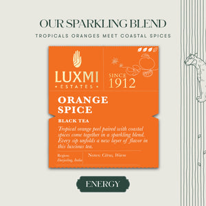 Orange Spice | 50 Tea Bags | Organic Black Tea | Special Fall edition Tea | Tea for Autumn - Luxmi Estates