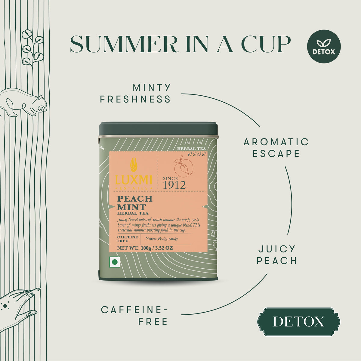 Peach Mint | 100 gm | Organic Herbal Tea - Luxmi Estates USA