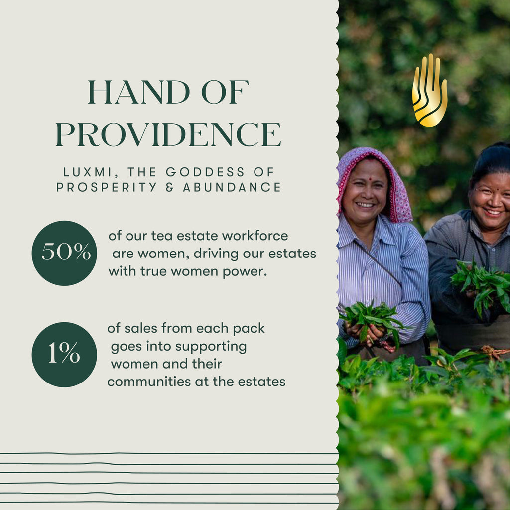 Peach Mint | 100 gm | Organic Herbal Tea - Luxmi Estates USA