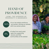 Peach Mint | 100 gm | Organic Herbal Tea - Luxmi Estates USA