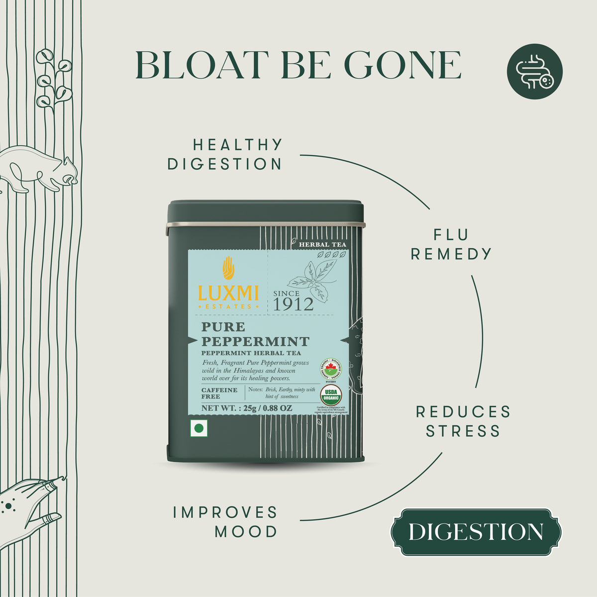 Pure Peppermint | 25gm | Organic Herbal Tea - Luxmi Estates USA