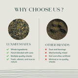 Tokyo Green | 50 Tea Bags | Organic Green Tea - Luxmi Estates USA