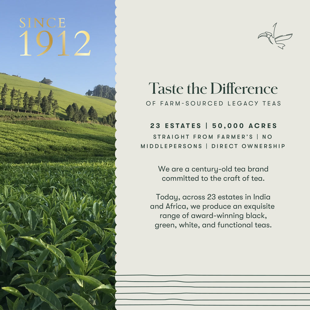 Turmeric Timeout | 50 Tea Bags | Organic Herbal Tea - Luxmi Estates USA