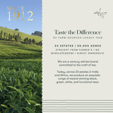 Turmeric Timeout | 50 Tea Bags | Organic Herbal Tea - Luxmi Estates USA