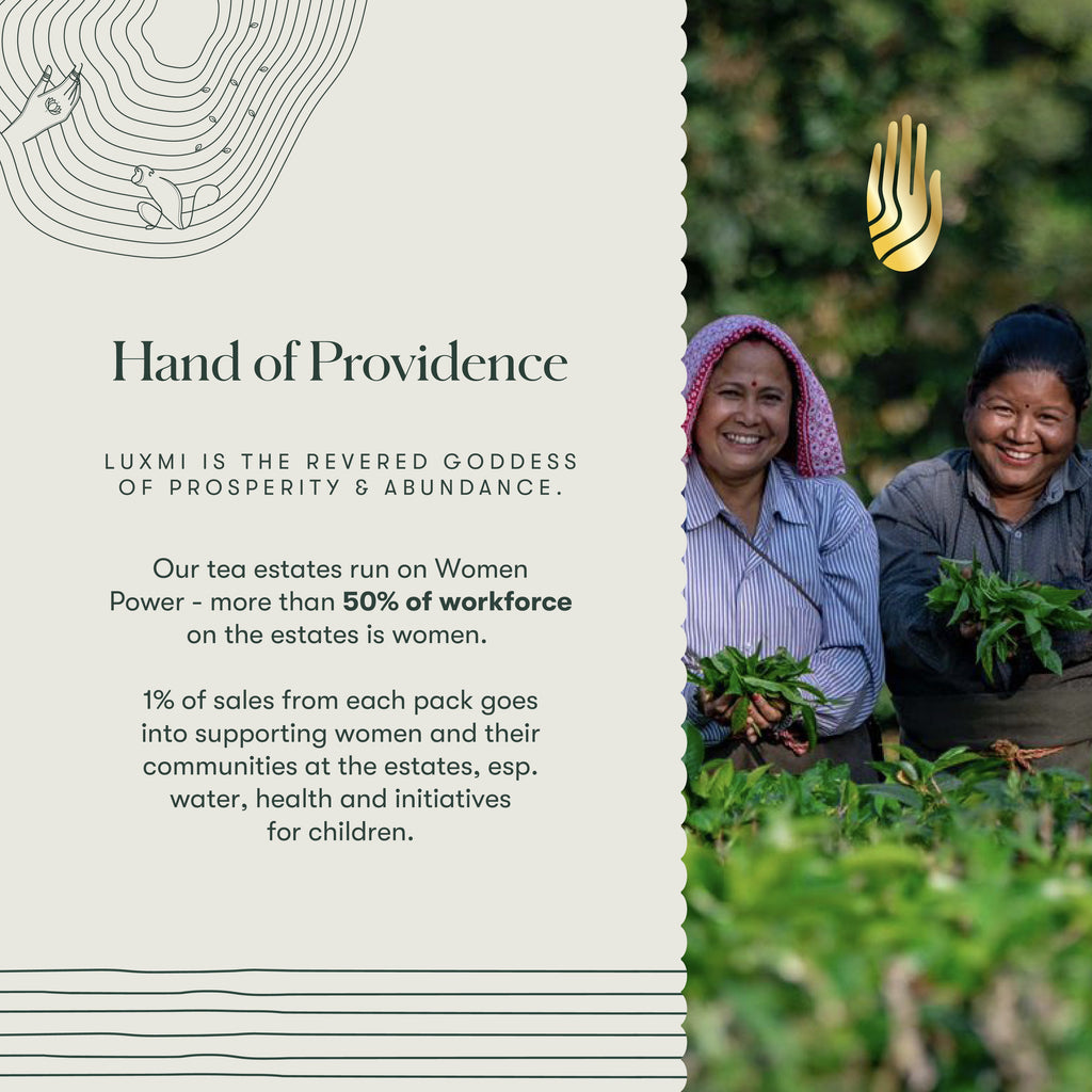 Turmeric Timeout | 50 Tea Bags | Organic Herbal Tea - Luxmi Estates USA