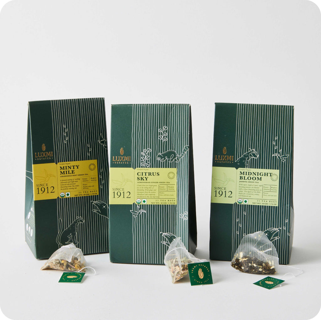 Darjeeling Organic Green Tea Bags Collection Luxmi Estates