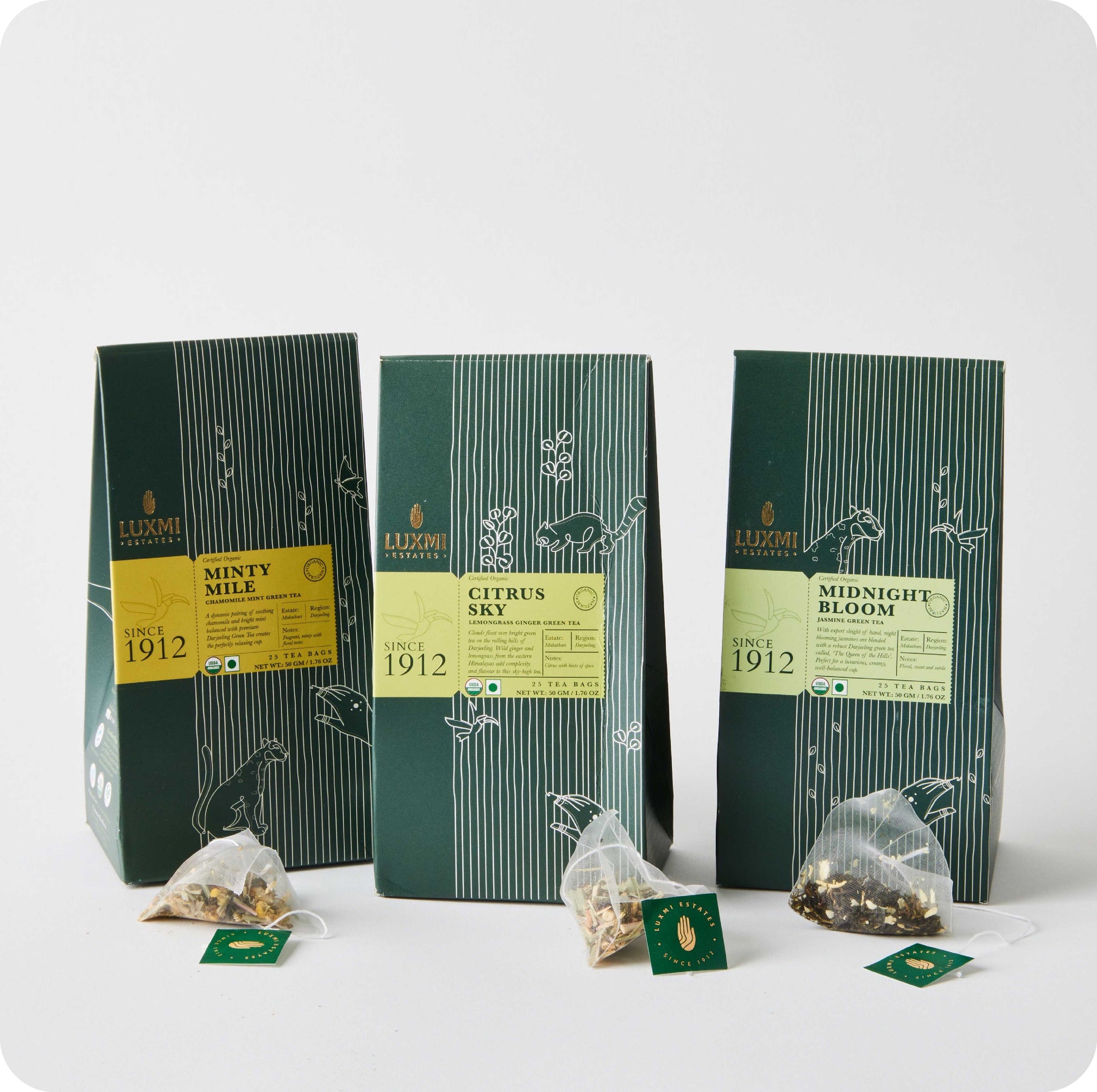 Darjeeling Organic Green Tea Bags Collection - Luxmi Estates